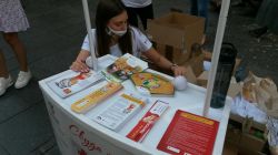 IMG-454193cb317eab9aa9c73111cf14506c-V