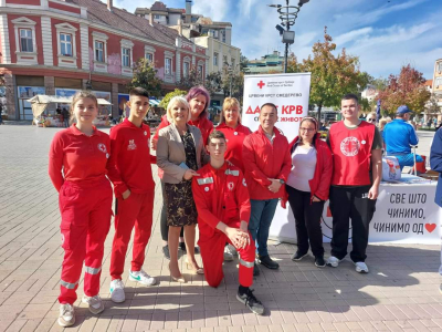 Манифестација " Дан заједништва"
